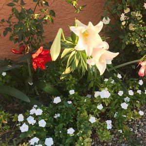 Meet your Posher, Martha